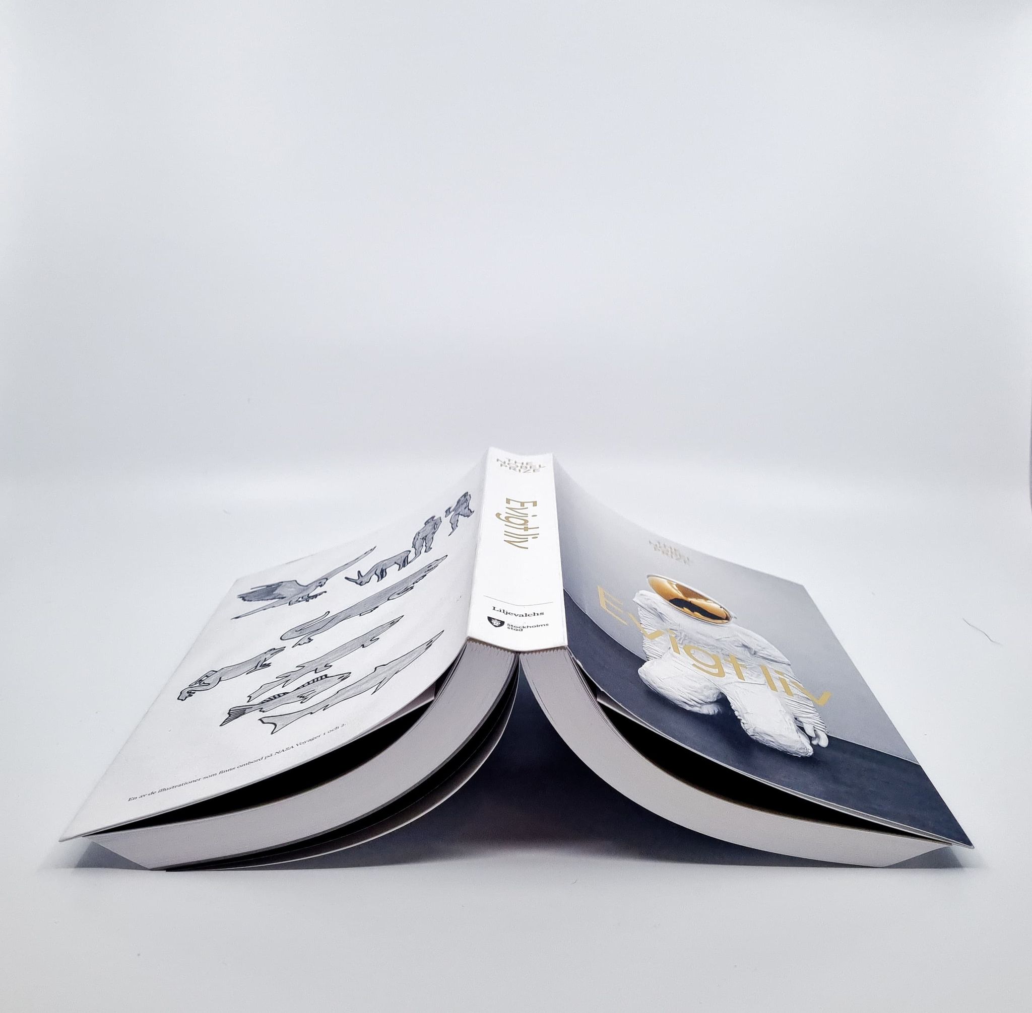 Evigt Liv open book 1.jpg