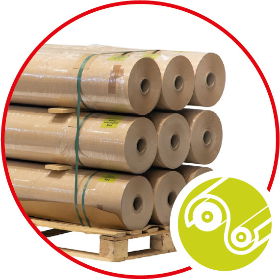 TTS-ProtectionPaper.jpg (179815763)
