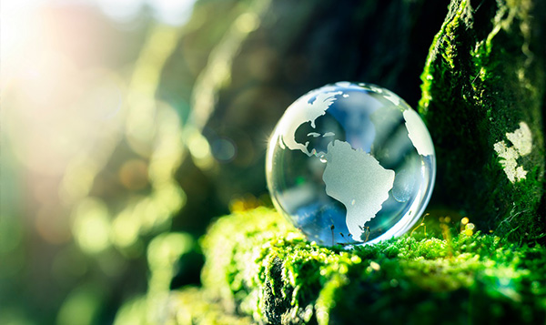 YourSustainablePartner2.jpg