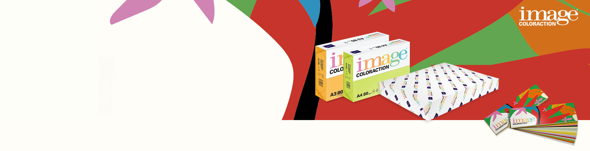 Image Coloraction