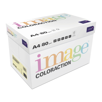 Image Coloraction