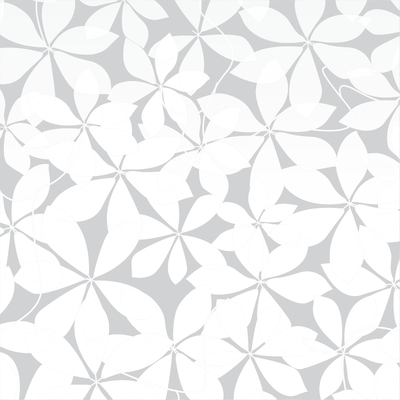 Coala Windows Decor Gradiation