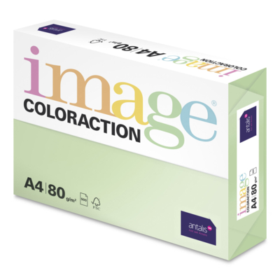 Image Coloraction