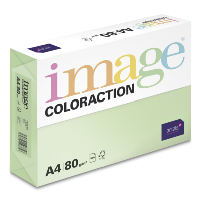 Image Coloraction
