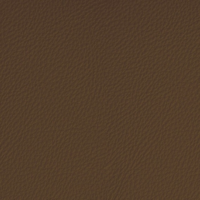Coala Interior Film Leather