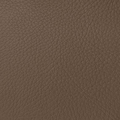 Coala Interior Film Leather