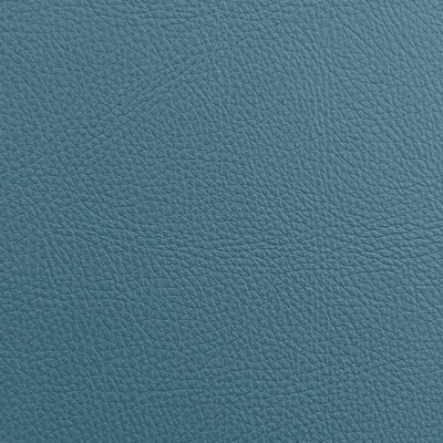 Coala Interior Film Leather