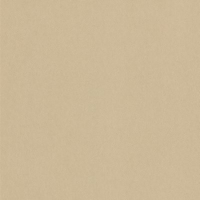 Coala Interior Film Stone