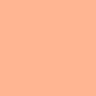 Coala Interior Film Solid Colour