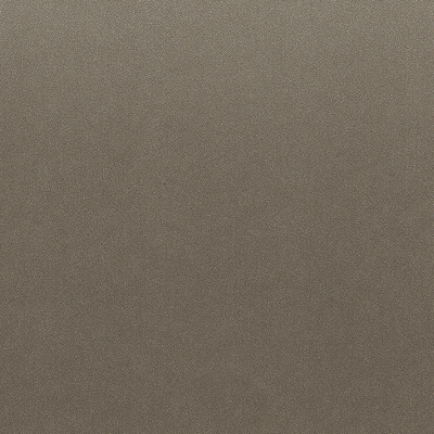 Coala Interior Film Steel