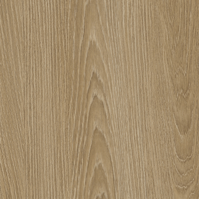 Coala Interior Film Wood