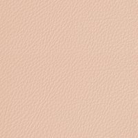 Coala Interior Film Leather