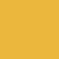 Coala Interior Film Solid Colour