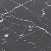 Coala Interior Film Stone
