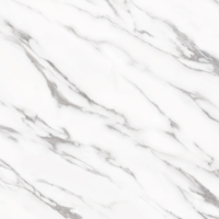 Coala Interior Film Stone
