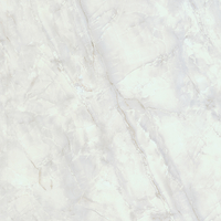 Coala Interior Film Stone