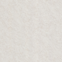 Coala Interior Film Stone