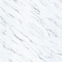Coala Interior Film Stone