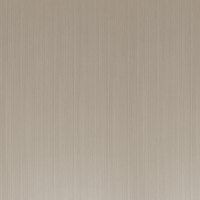 Coala Interior Film Steel