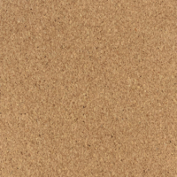 Coala Interior Film Wood