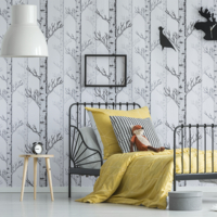 Coala WallDesign NW