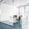 Coala Windows Decor Gradiation