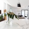 Coala Interior Film Stone