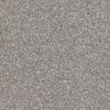 Coala Interior Film Glitter