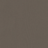 Coala Interior Film Wood
