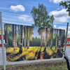 Coala Non-Woven PP Banner