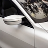 Avery Paint Protection Film